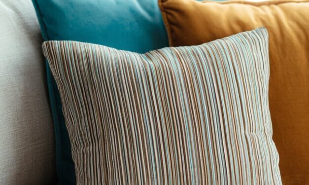 Euro Pillow Size: Dimensions, Uses, Pros and Cons